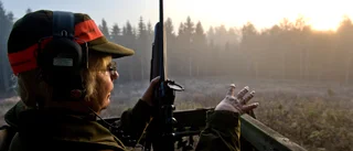 Nu är det dags att skrota älgjaktslagen