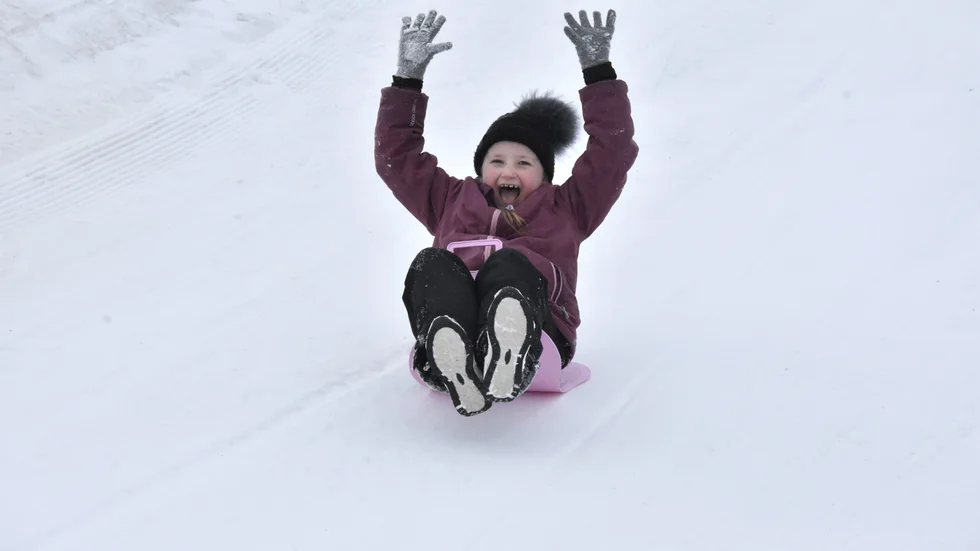 Eva-Emilia Salus önskning "dubbelt så mycket snö
och flamingos” blev verklighet.