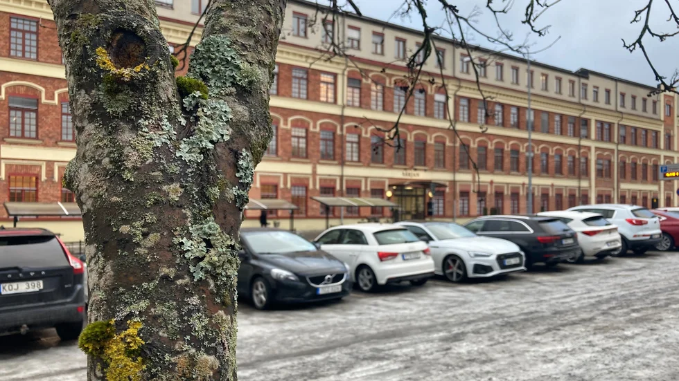 Värjan på Alva Myrdals gata i Eskilstuna. Här finns flera av Eskilstunas kommunala förvaltningar.