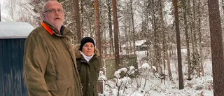 De vill ha bort träden – kommunen säger nej