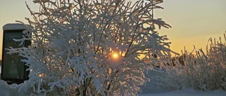Nu visar sig solen                     