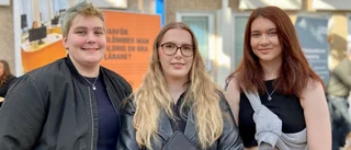 Jobben som de unga vill erövra