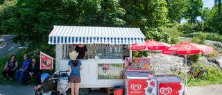 "Landsbygdsutveckling är så mycket mer än glasskiosker"