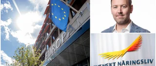 EU:s konkurrenskraft avgörande för Östergötland