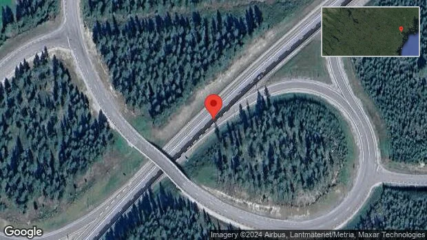 Älg innanför viltstängslet på E4