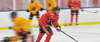 Bromé är glad att han valde Luleå Hockey