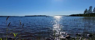 Solig och vacker dag                       