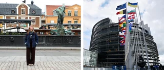 Här är Linköpingspolitikern med störst chans på EU-parlamentet