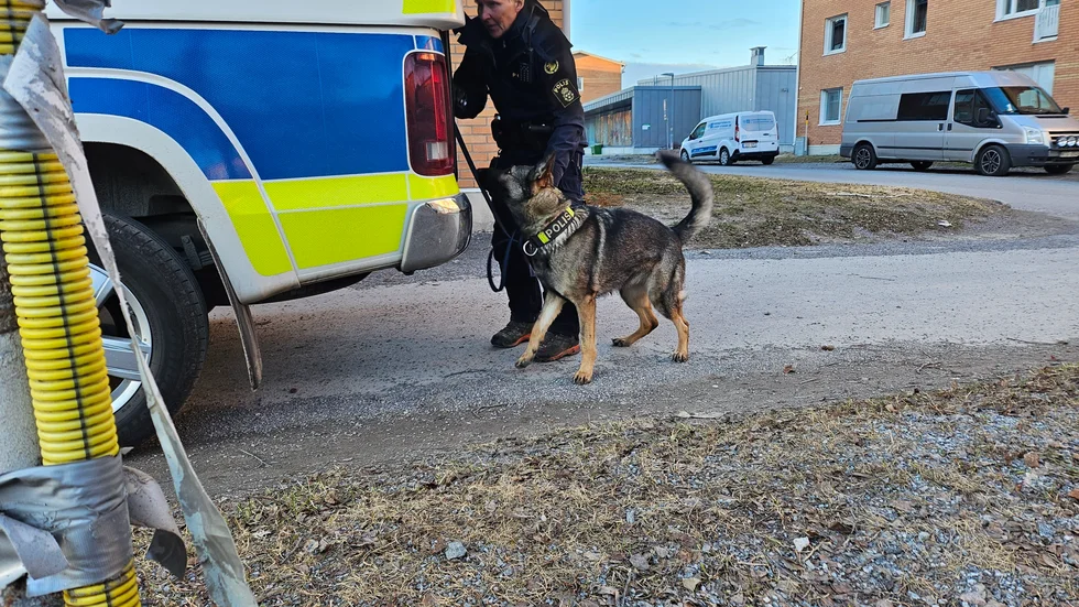 Det var i fredags ett misstänkt grovt rån orsakade ett stort polispådrag på Mjölkudden. Nu har två pojkar begärts häktade.