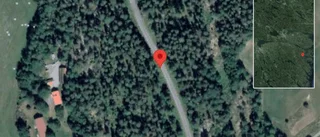 Träd över vägen skapar problem i trafiken på väg 818