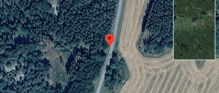 Nedfallna träd påverkar trafiken på väg 752