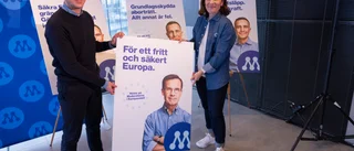 Moderat EU-manifest förvånansvärt bra