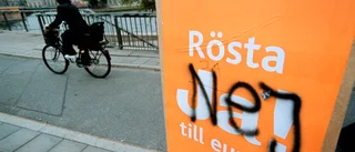 Fler svenskar vill ha euron