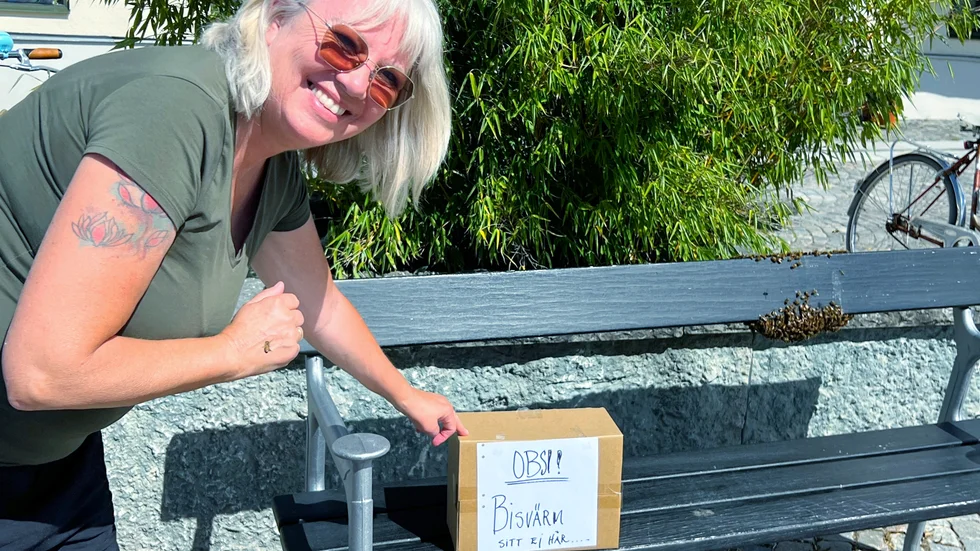 Marika Söreskog upptäckte en bisvärm bakom en parksoffa på Stora Torget på tisdagseftermiddagen. 