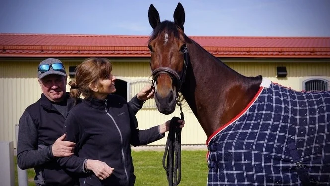 Det blev inget Elitlopp för Mantorpsstjärnan Lozano di Quattro, men kanske kan det bli en V75-seger på hemmaplan under lördagen? Här ses Lozana di Quattro med tränaren Per K Eriksson och skötaren Tina Eriksson. 