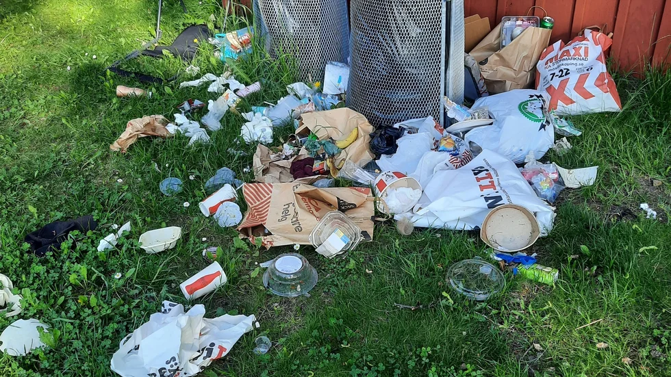 Ett paradis för fåglar och råttor, menar insändarskribenten.