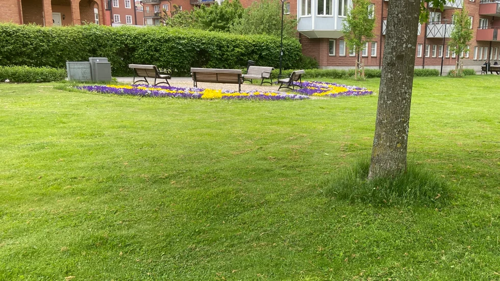 Kvinnor som snubblade med högklackade skor på en gräsmatta vid Källgatan ska ha varit upprinnelsen till grovt våld mot tjänsteman och grov misshandel. Nu har en man i 30-årsåldern från Strängnäs kommun åtalats vid Eskilstuna tingsrätt.