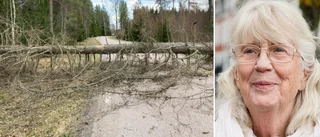 Sigrid och Kjell var nära att krossas av fallande gran