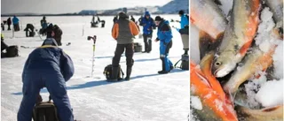 Här är vinnarna i Kirunahugget