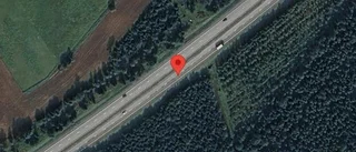Trafikverket varnar för rådjur på vägen på E4