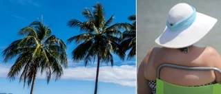 Så ska Vingåker bli Sveriges Florida