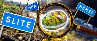 Skärtorsdag = dags för Helagotlands stora påskäggsjakt!