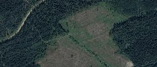 Nya ägare till﻿﻿ gård i Burträsk – pris: 1 900 000 kronor