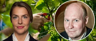 Dorsins skämt om regelkrånglet fastnar i halsen