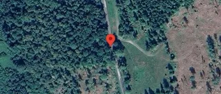 Nedfallna träd påverkar trafiken på väg 675