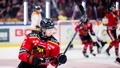 Bildextra från finalmatchen – se fotografernas bilder här