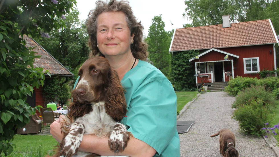 "Jag har aldrig ångrat mitt val av yrke, trots att jag skadade mig. Med facit i hand kanske jag inte hade valt hästar, å andra sidan var det vad jag trivdes bäst med då", säger Susann Adehed som nu driver eget istället för att vara klinikveterinär.