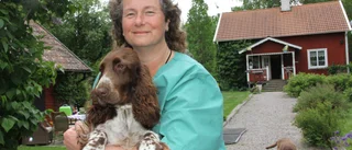 Veterinären Susann behandlar sjuka djur – i sitt hem