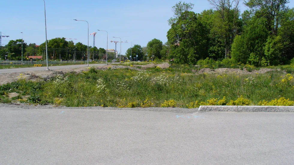 Parkvägen kan bli en guldgruva enligt insändarskribenten.