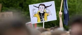 Maria Eriksson: Klimataktivistens nya kläder