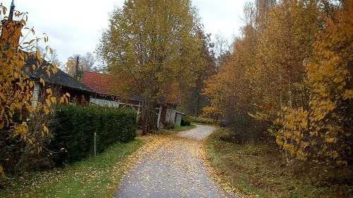 De nya villorna skall bland annat uppföras i skogsområdet till höger utmed gamla Ulrikavägen. Bild: SVANTE STRÖMBERG