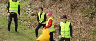 Erfarna vägstädarna om äckliga och oväntade fynd