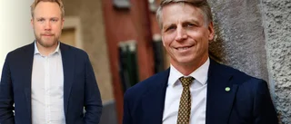 Därför lyckades Bolund aldrig lyfta Miljöpartiet