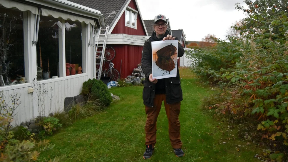 Johan Karlsson, Hedensbyn, tog hem segern i Sommarbilden 2022. Nu kan du vinna Norrans sommarbildstävling 2023.