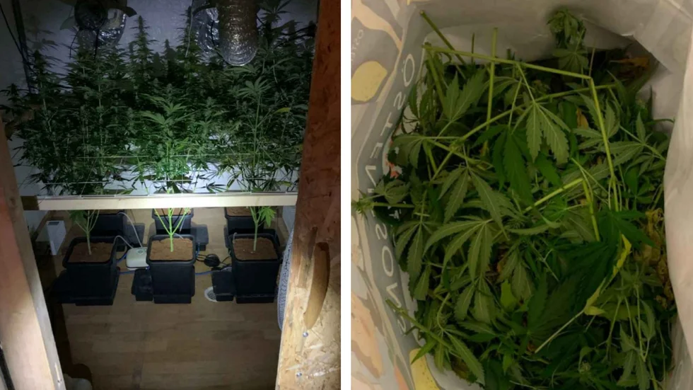 I ett hus på landsbygden i Linköpings kommun hittade polisen en cannabisodling. (Bilderna är hämtade ur förundersökningen.)