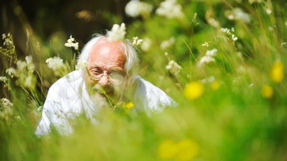 "Den rika floran är så integrerad med tätorten" säger biologen Hans Rydberg om närheten till naturen i Nyköping.