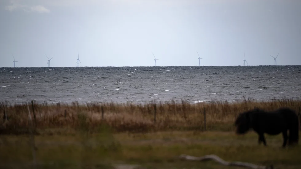 Bores Krona är den vindpark som planeras mest kustnära och därmed också får störst påverkan för närboende men även betydande påverkan på andra viktiga verksamheter och intäkter för kommunen som turism, sjöfart, fiske, med mera, skriver "Ja till Norrland". (På bilden vindkraftverk i Kriegers Flak söder om Trelleborg)
