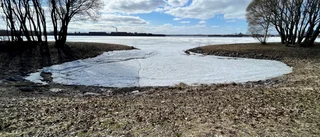 Läsarbilden: Brytningstid
