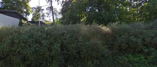 Tomt i Västervik har fått 68-åring - priset: 1 500 000 kronor