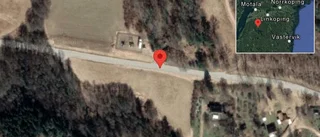 Fallna träd skapar problem i trafiken