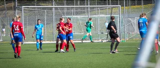 Borendamerna är klara för final 