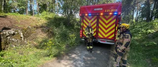 Brand i skogsdunge – räddningstjänsten ryckte ut