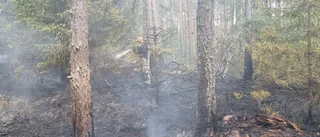 SMHI varnar: Stor risk för brand i skog och mark