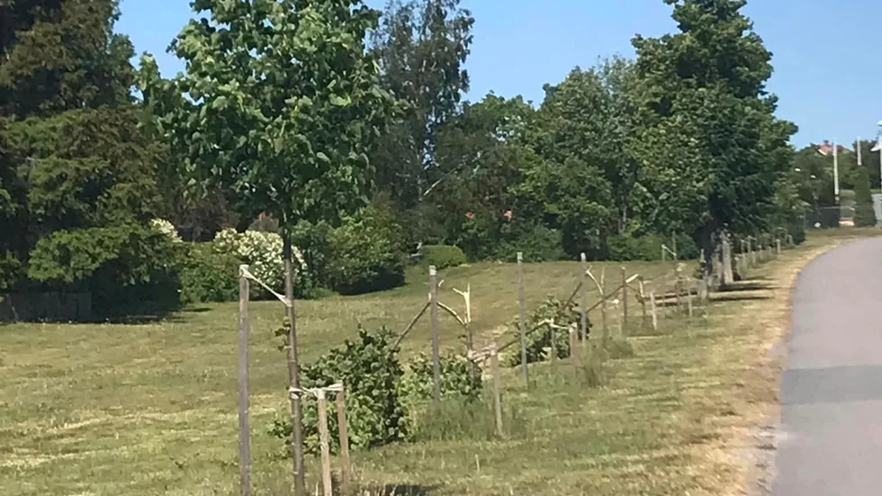 Flera lindar knäcktes i Vackerby.