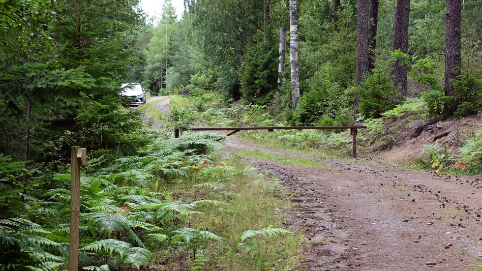 Norrköpingsbon körde ut i skogen, låste dörrarna och våldtog den unga kvinnan. Nu har han fått sin dom.