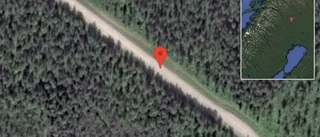 Stopp på väg 395 på grund av olycka med flera fordon